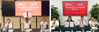 中國寶武，究竟儲備了多少鐵礦？